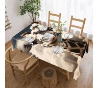 FekiLoot Rectangle Giraffe in The Clouds Tablecloth 120 X 60 Inch Reusable Polyester Table Cover Everyday Use Decorative Table Cloth Washable for Dining Wedding Party Outdoor Decor