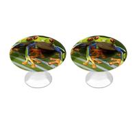 FekiLoot Red Eyed Tree Frog Cabinet Knobs Kitchen Cabinet Handles Round Closet Handles Stainless Steel Drawer Pulls for Closet Dresser Wardrobe Cupboard Furniture 2 Pack