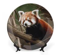 FekiLoot Red Panda on Tree BranchDecorative Ceramic Plate Dinner Plate for Salad Dessert Round Display Plate Decorative Porcelain Dish Wall Ornament Microwave Oven Dishwasher Safe Gift 8inch