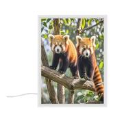 FekiLoot Red Pandas Vanity Mirror with Lights Portable Lighted Beauty Mirror Three Color Lighting Modes Dimmable LED Lighted Decoration Desk Mirrors for Vanity Desk Bedroom