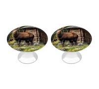 FekiLoot Round Country Lodge Bear Deer Cabinet Knobs and Pull 30mm Stainless Steel Drawer Hardware with Installation Screws Door Handle 2 Pack for Kitchen Furniture Dresser Cupboard