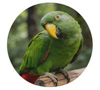 FekiLoot Round Green Feathers Fixed Their Gaze Seat Cushion 15.3 Inch Diameter Soft Circle Chair Pad for Home Kitchen Portable Floor Cushions with Removable Cover for Garden Patio