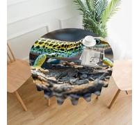 FekiLoot Round Leopard Little Gecko Tablecloth Washable Decorative Table Cloth Cover Spring Polyester Fabric Tablecloths Stain Resistant for Outdoor Dining Party Wedding Picnic 60"