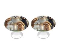 FekiLoot Round Poodles Dogs Cabinet Knobs and Pull 30mm Stainless Steel Drawer Hardware with Installation Screws Door Handle 2 Pack for Kitchen Furniture Dresser Cupboard