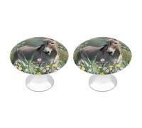 FekiLoot Round Stainless Steel Cabinet Knobs with Screws, 2 Pack - Modern Cupboard Door Knobs, Exquisite Donkey and Flower Drawer Pull Handles for Kitchen Closet Dresser Door Hardware
