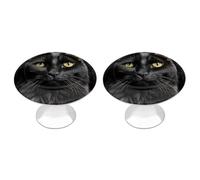 FekiLoot Round Stainless Steel Cabinet Knobs with Screws, 2 Pack - Modern Cupboard Door Knobs, Exquisite A Black Cat on A Black Background Drawer Pull Handles for Kitchen Closet Dresser Door Hardware