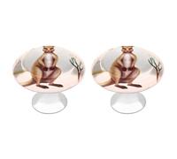 FekiLoot Round Stainless Steel Cabinet Knobs with Screws, 2 Pack - Modern Cupboard Door Knobs, Exquisite Funny Cartoon Kangaroo Zoo Drawer Pull Handles for Kitchen Closet Dresser Door Hardware