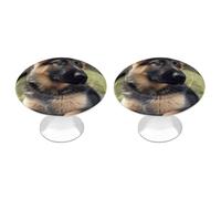 FekiLoot Round Stainless Steel Cabinet Knobs with Screws, 2 Pack - Modern Cupboard Door Knobs, Exquisite German Shepherd Puppy Drawer Pull Handles for Kitchen Closet Dresser Door Hardware