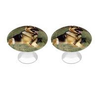 FekiLoot Round Stainless Steel Cabinet Knobs with Screws, 2 Pack - Modern Cupboard Door Knobs, Exquisite German Shepherd Dog Drawer Pull Handles for Kitchen Closet Dresser Door Hardware