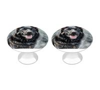 FekiLoot Round Stainless Steel Cabinet Knobs with Screws, 2 Pack - Modern Cupboard Door Knobs, Exquisite Black German Shepherd Dog Drawer Pull Handles for Kitchen Closet Dresser Door Hardware