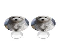 FekiLoot Round Stainless Steel Cabinet Knobs with Screws, 2 Pack - Modern Cupboard Door Knobs, Exquisite Bichon Frise Dog Drawer Pull Handles for Kitchen Closet Dresser Door Hardware