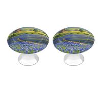 FekiLoot Round Texas Bluebonnets Scenery Cabinet Knobs and Pull 30mm Stainless Steel Drawer Hardware with Installation Screws Door Handle 2 Pack for Kitchen Furniture Dresser Cupboard