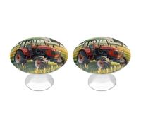FekiLoot Round Tractor Theme Cabinet Knobs and Pull 30mm Stainless Steel Drawer Hardware with Installation Screws Door Handle 2 Pack for Kitchen Furniture Dresser Cupboard