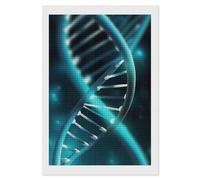 FekiLoot Science Gene Strand Diamond Painting Kits for Adults Full Drill Diamond Dots Art for Beginners DIY 5d Square Gem Diamond Pictures Art Kits Crafts Home Wall Decoration Gift 8"x12"