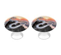 FekiLoot Silver Dragon Circling Cabinet Knobs Kitchen Cabinet Handles Round Closet Handles Stainless Steel Drawer Pulls for Closet Dresser Wardrobe Cupboard Furniture 2 Pack