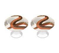 FekiLoot Snake Classic Design Cabinet Knobs Kitchen Cabinet Handles Round Closet Handles Stainless Steel Drawer Pulls for Closet Dresser Wardrobe Cupboard Furniture 2 Pack