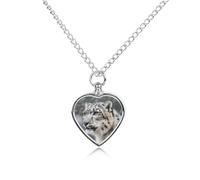FekiLoot Snow Leopard Custom Ashes Necklace Personalized Pet Urn Hair Cremation Souvenir Necklace Memorial Keepsake Holder Pendant Heart Jewelry for Ashes Gift for Dog Loss