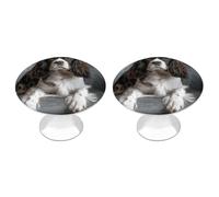 FekiLoot Spaniel On The Sofa Cabinet Knobs Round Dresser Drawer Pulls Stainless Steel Drawer Handles Modern Closet Door Pulls with Screw for Kitchen Cupboard Wardrobe 2 Pack