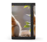 FekiLoot Squirrel Funny Animal Men's Wallet Extra Capacity Trifold Wallet Thin & Stylish Trifold Card Holder with ID Window