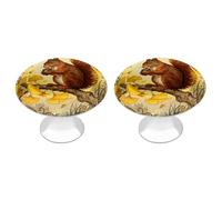 FekiLoot Squirrel Ginkgo Branch Cabinet Knobs Kitchen Cabinet Handles Round Closet Handles Stainless Steel Drawer Pulls for Closet Dresser Wardrobe Cupboard Furniture 2 Pack