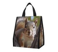 FekiLoot Squirrel in The Tree Lunch Bag Insulated Lunchbox Bag Reusable Leakproof Tote Women Stylish Lunchboxs Bag for Women Men Work Office Travel