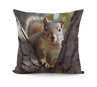 FekiLoot Squirrel in The Tree Pillow Cover Plush Pillow Covers 18x18in with Invisible Zipper Super Soft Square Pillowcover for Bedroom Couch Luxury Cozy Pillowcases for All Seasons