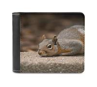 FekiLoot Squirrel Just Laying PU Leather Wallet Bifold Wallet Front Pocket Wallets Fashion Purse Slim Billfold Credit Card Holder
