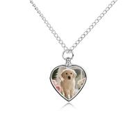 FekiLoot Sunny Windowsill Dog Urn Necklaces for Ashes Personalized Human Pet Cremation Jewelry Keepsake Locket Heart Pendant with Filling Kit Memorial Gift for Dog Cat Lover Women Men