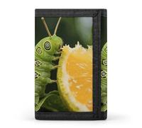 FekiLoot Swallowtail Caterpillar Slim Wallet Trifold Wallet Credit Card Holder Wallets Stylish Money Clip for Men Women