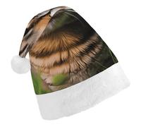 FekiLoot Tabby Cat on The Grass 2.Christmas Hat Cap with Plush Trim Warm Xmas Hats Headwear for Winter Holiday Party Supply