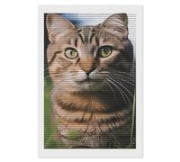 FekiLoot Tabby Cat on The Grass Diamond Painting Kits for Beginners DIY Diamond Dots Art Kit Full Drill Round 5d Diamonds Pictures Gem Art Kits Rhinestone Painting Home Wall Decor8 x12