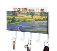 FekiLoot Texas Bluebonnets Scenery Key Holder Wall Mount PU Leather Adhesive Key Rack with 5 Hooks Decorative Keys Storage Holder Mail Organizer Decor for Entryway Hallway Office Kitchen White