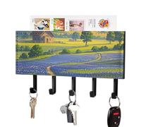 FekiLoot Texas Bluebonnets Scenery Key Holder Wall Mount PU Leather Adhesive Key Rack with 5 Hooks Decorative Keys Storage Holder Mail Organizer Decor for Entryway Hallway Office Kitchen Black