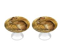 FekiLoot Vole Wheat Ear Cabinet Knobs Kitchen Cabinet Handles Round Closet Handles Stainless Steel Drawer Pulls for Closet Dresser Wardrobe Cupboard Furniture 2 Pack