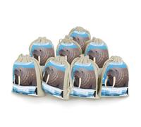 FekiLoot Walrus on Arctic Ice Drawstring Gift Bags Wrapping Storage Bags for Candy Goodie Holiday Party Favors 8PCS