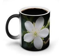 FekiLoot White Jasmine Color Changing Mugs Heat Sensitive Coffee Mug Novelty Ceramic Cup with Handle Magic Cups Temperature Changing Coffee Tumblers for Women Men Funny Gifts 11 Oz