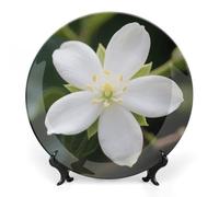 FekiLoot White Jasmine Decorative Plates Bone China Plates with Stand for Display 7inch Round Ceramic Dinner Plates Dessert Plate for Kitchen Party Coffee Table Decor Art