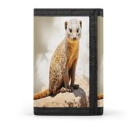 FekiLoot Wild Meerkats Wallets Exquisite Trifold Wallet Front Pocket Wallet with Zipper Keychain Coin Purse Credit Card Holder for Adult