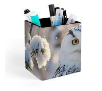 FekiLoot Winter White Owl Pen Holder for Desk, Personalized Pencil Cups for Office, Square Makeup Brush Holder for Bathroom, PU Leather Pencil Organizer Case, Pen Storage Box