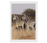 FekiLoot Zebras On South Africa Diamond Paintings Kits for Beginners, Gem Dot Crafts for Adults, Full Round Drill Diamond Arts, Diamond Art Kits for Home Wall Decor, Office, Gift 8"x12"