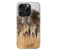 FekiLoot Zebras On South Africa for iPhone 15 Case Tempered Glass TPU Back Panel Shockproof with Anti-Fingerprint Phone Cover Black