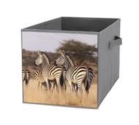 FekiLoot Zebras On South Africa Storage Cubes Organizer for Home, Foldable Storage Bins with Handles, 10.6 Inch Storage Bags 1PCS for Clothes, Large Organizer Bins for Organizing Bed Sheets