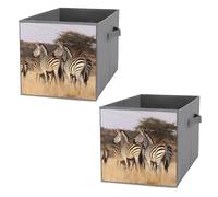 FekiLoot Zebras On South Africa Storage Cubes Organizer for Home, Foldable Storage Bins with Handles, 10.6 Inch Storage Bags 2PCS for Clothes, Large Organizer Bins for Organizing Bed Sheets
