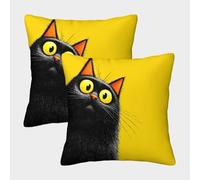 FELASBUID Black Cat Eyes-cartoon Illustration Style Pillow Covers 2 Pack Cozy Pillowcase Available All Seasons Cushion Case Zippered Decor Sofa for Living Room Bedroom 45x45cm