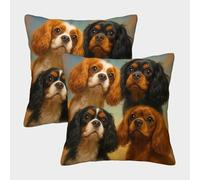 FELASBUID Cavalier King Charles Spaniels Pillow Covers 2 Pack Cozy Pillowcases Available All Seasons Cushion Case Zippered Decor Couch Living Room 45x45cm