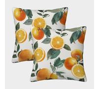 FELASBUID Citrus Fruits-Vintage Botanical Print Pillow Covers 2 Pack Cozy Pillowcases Available All Seasons Cushion Covers with Zipper Decor for Sofa Living Room Bed Home 45x45cm
