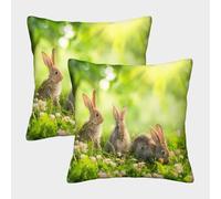 FELASBUID Cute Bunnies-spring Garden Scene Pillow Covers 2 Pack Cozy Pillowcase Available All Seasons Cushion Case Polyester Decorative for Couch Livingroom 45x45cm