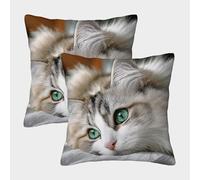 FELASBUID Cute Cat Eyes-Furry Pet Portrait Pillow Covers 2 Pack Cozy Pillowcase Available All Seasons Cushion Cover Zippered Decor for Couch Livingroom 45x45cm