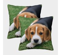 FELASBUID Cute Puppy-Beagle Breed Style Pillow Covers 2 Pack Cozy Pillowcases Available All Seasons Cushion Covers with Zipper Decor Sofa for Living Room Bedroom 50x50cm