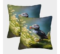 FELASBUID Puffin Bird-Nature Wildlife Scene Pillow Covers 2 Pack Cozy Pillowcase Available All Seasons Cushion Case with Invisible Zipper Decor for Couch Livingroom 50x50cm